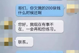 振安为什么选择专业追讨公司来处理您的债务纠纷？